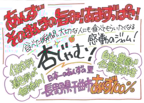 🍊手づくり杏ジャム(300g) 3本ギフト