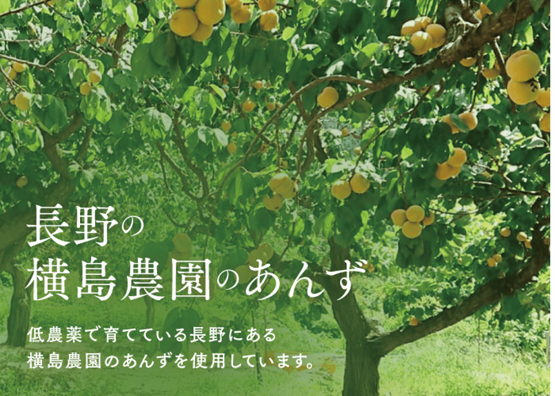 あんず214様　オーダー品 🍊手づくり杏ジャム 300g 箱入 | yokoshima anzu store (横島 あんず)