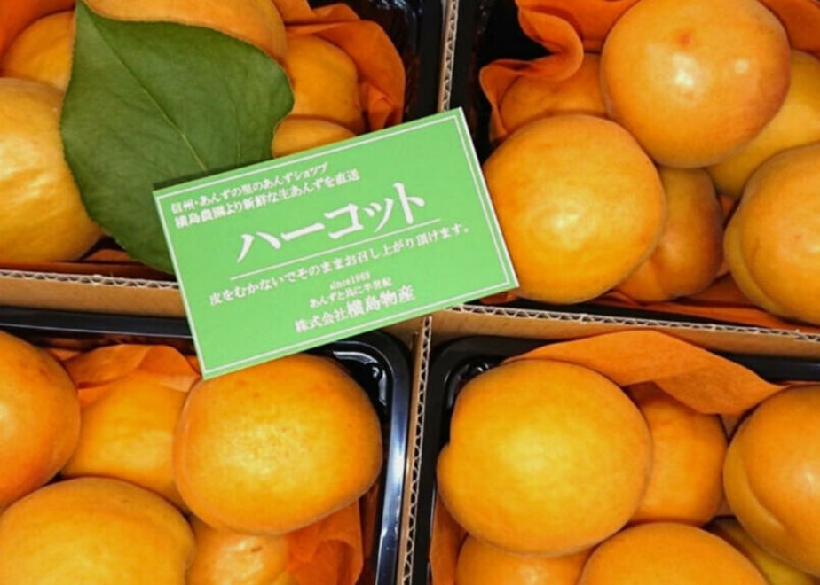 5fd49c77b00aa31b74712d90
