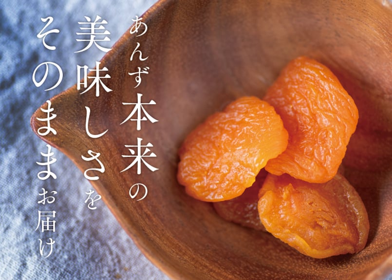 🍊セミドライあんず (40g) 3袋ギフト | yokoshima anzu store (横
