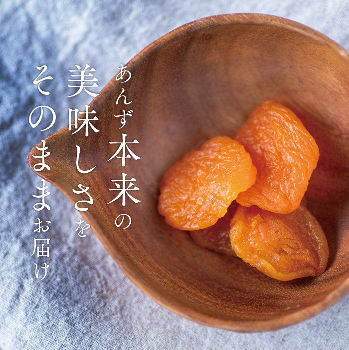 🍊セミドライあんず (40g) 3袋ギフト | yokoshima anzu store (横