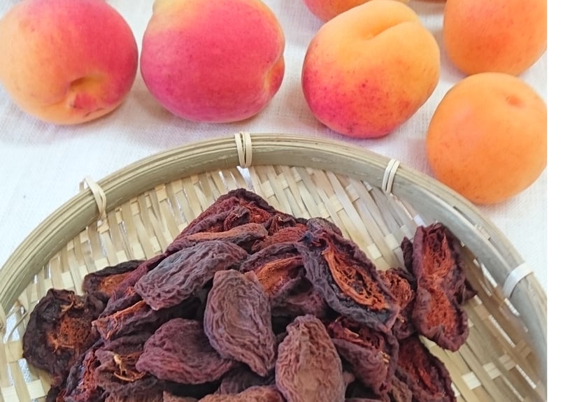 🍊天日干しあんず(ミニ) 40g | yokoshima anzu store (横島 あんず)