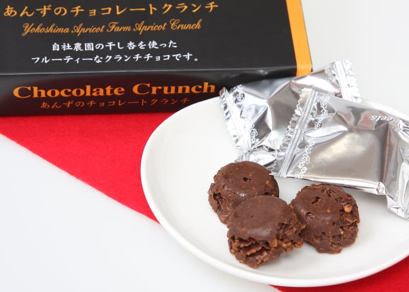 🍊杏チョコレートクランチ 10個入 | yokoshima anzu store (横島 あんず)