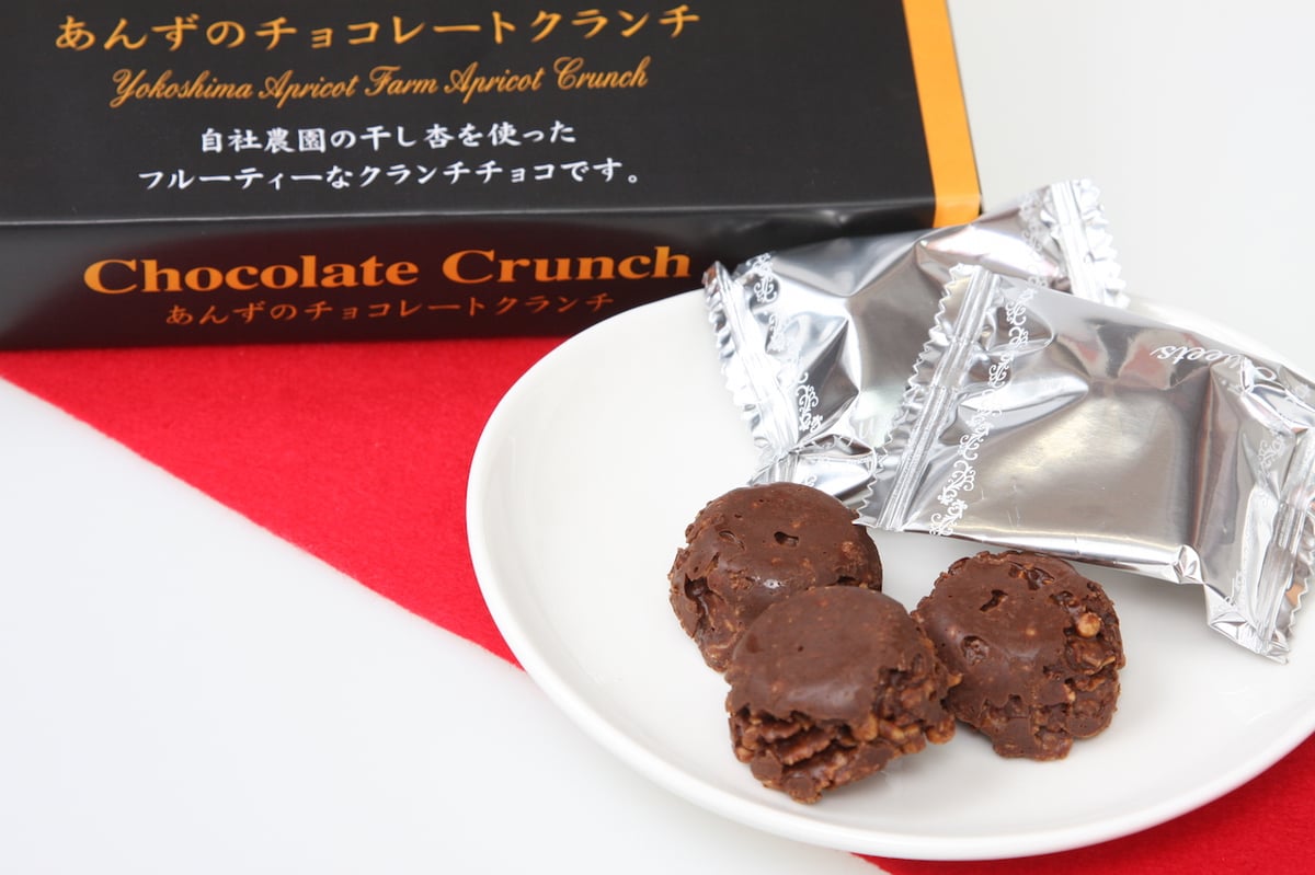 🍊杏チョコレートクランチ 10個入 | yokoshima anzu store (横島 あんず)