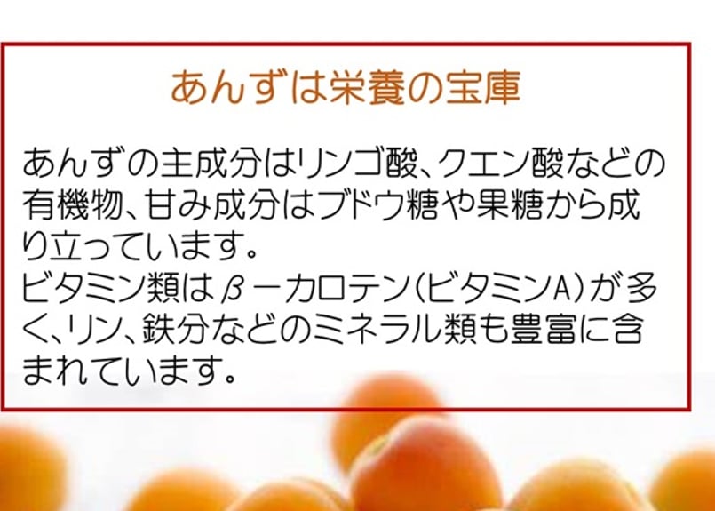 🍊セミドライあんず(ミニ) 40g | yokoshima anzu store (横島 あんず)