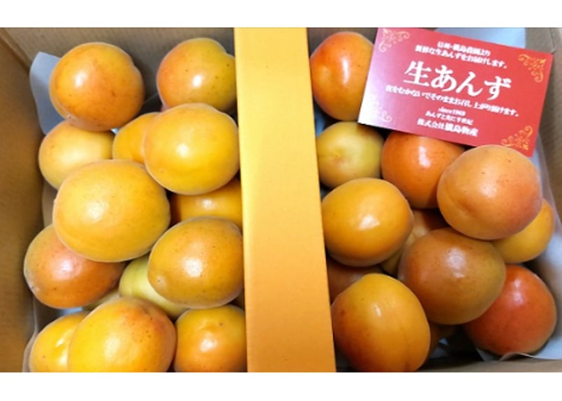 C 生あんず 加工(自家用) ・ 約2kg/バラ詰 送料込（クール便