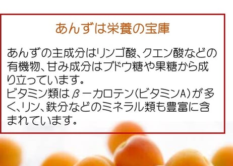 🍊杏コンフイチュール&コンポート(各180g) 3本入ギフト
