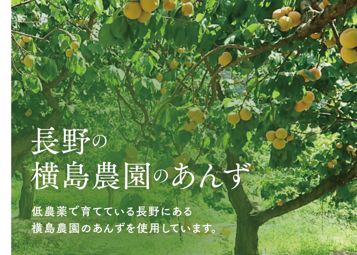 🍊天日干しあんず(ドライ) 100g | yokoshima anzu store (横島 あんず)