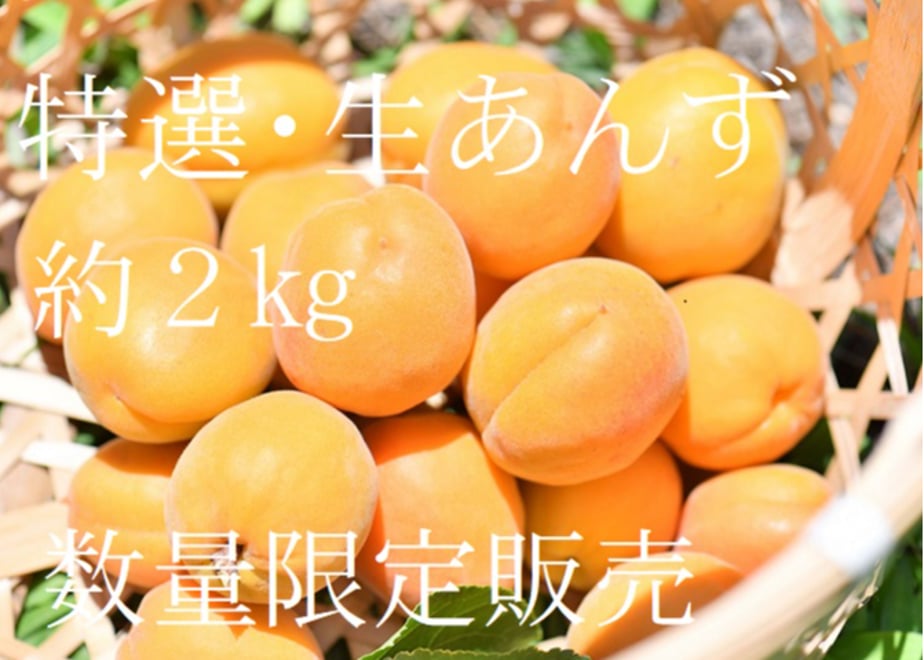 61d3c88dfd2e730204d24331