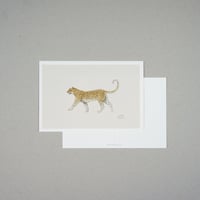 Animals / Panther
