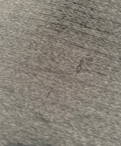 80s ヘインズ　スタンフォード Tシャツ グレー