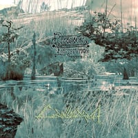 Rigorous Institution - Cainsmarsh [LP]