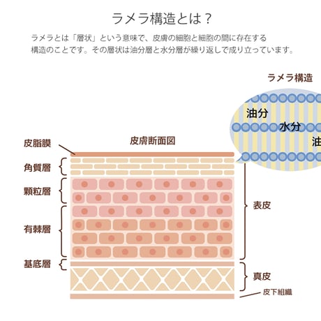 保湿化粧水：モイスチャライザーローション