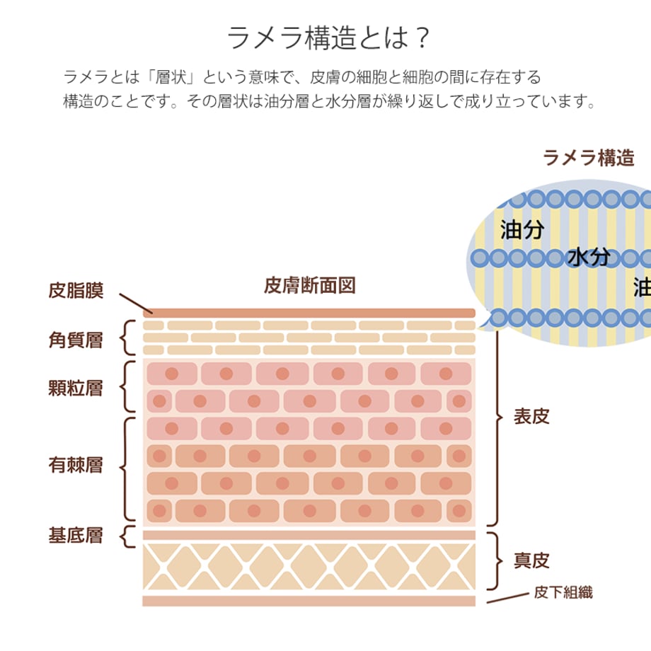 6141c96facbcb0070585a44d
