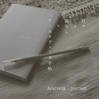 2025Ayurveda journey