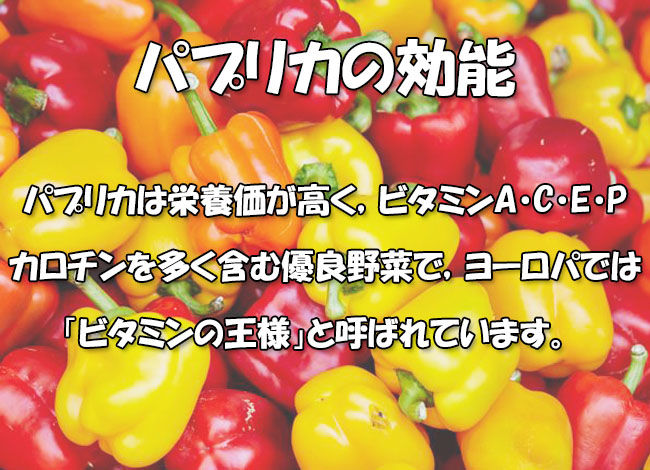 パプリカ2号さま☺︎確認用 きやすかっ