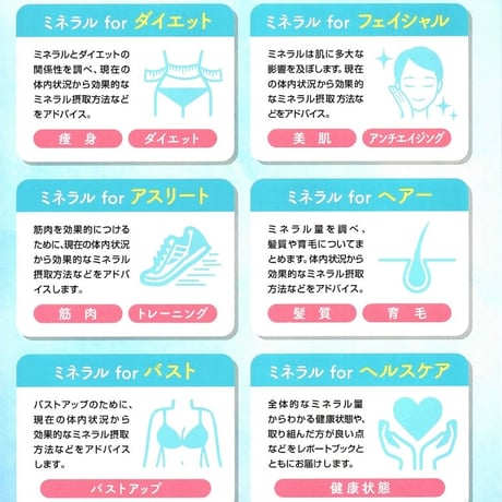 ミネラル毛髪検査