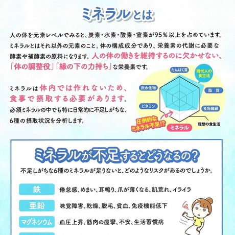 ミネラル毛髪検査