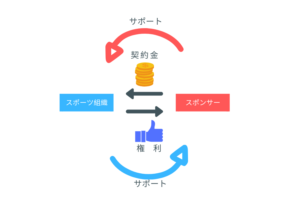 スポーツ経営学入門 スポ－ツ経営学入門 / 大野 貴司【著】 - 紀伊國屋書店ウェブ