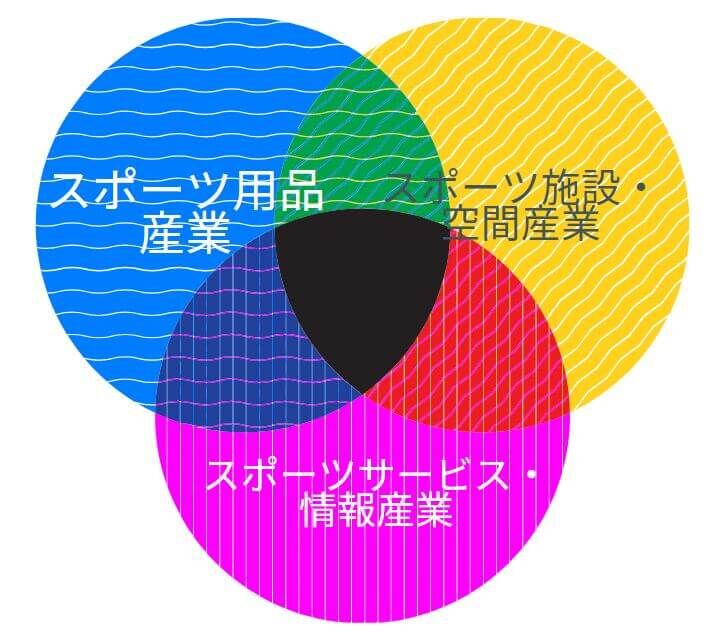 スポーツ経営学入門 スポーツ経営学入門 増補版 | 大野 貴司 |本 | 通販 | Amazon