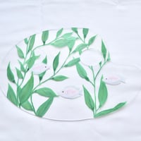 キッシンググラミー