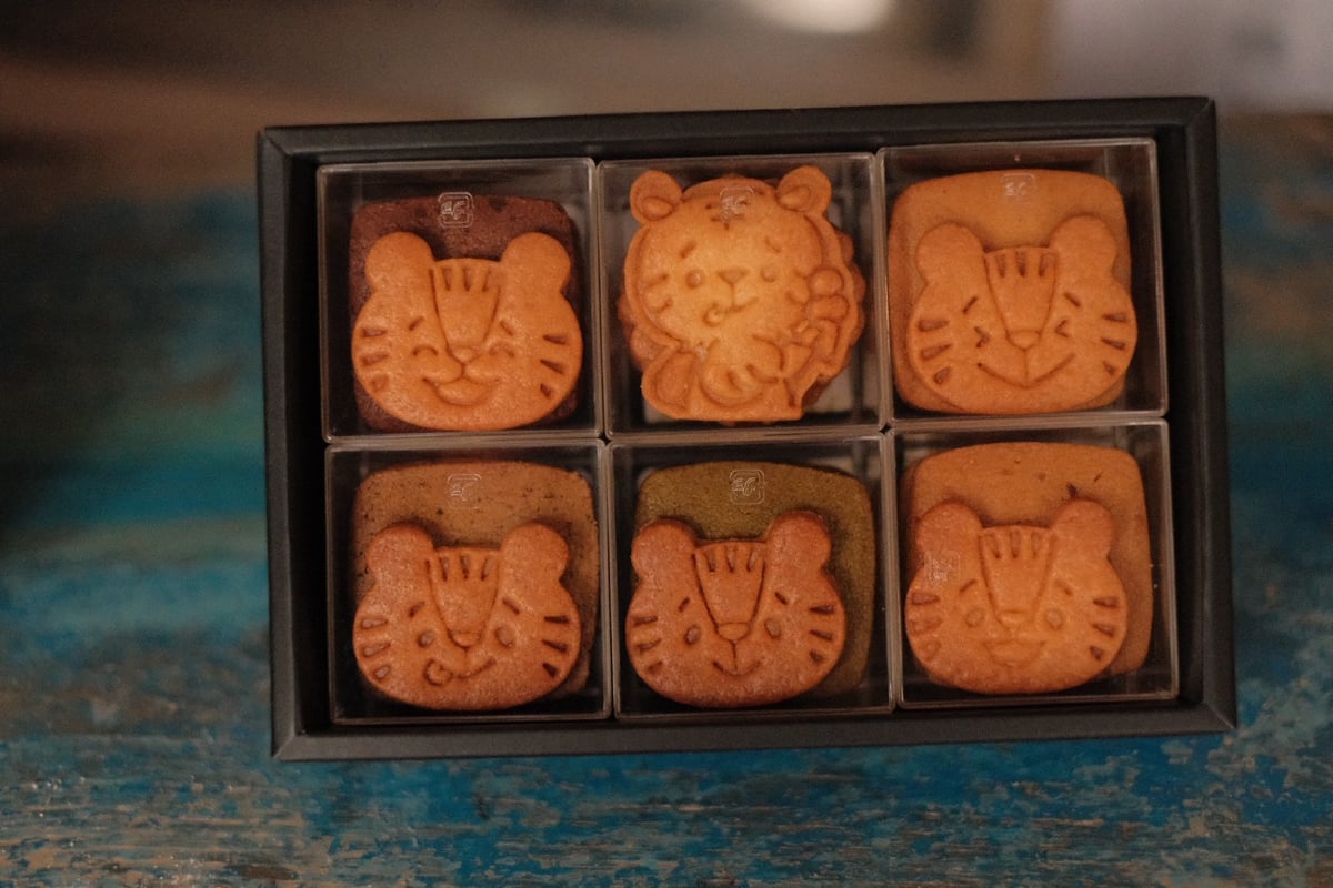 ドラコの末裔　日本語4枚セット ドラコの末裔 日本語4枚セット ドラコの末裔】 MTG 日本語版 4