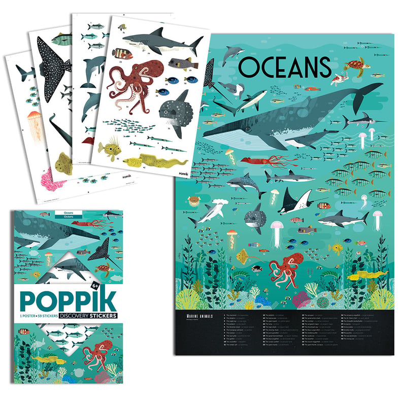 ＊海の生き物　オーダーページ＊ OCEANS（海の生き物） | POPPIK Japan