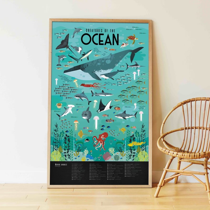 OCEANS（海の生き物） | POPPIK Japan