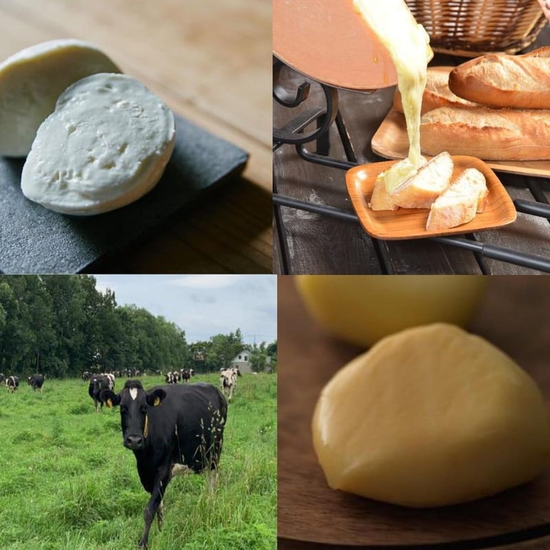 チーバーチーズ7月号～初夏を感じるチーズ達～ | Cheeber