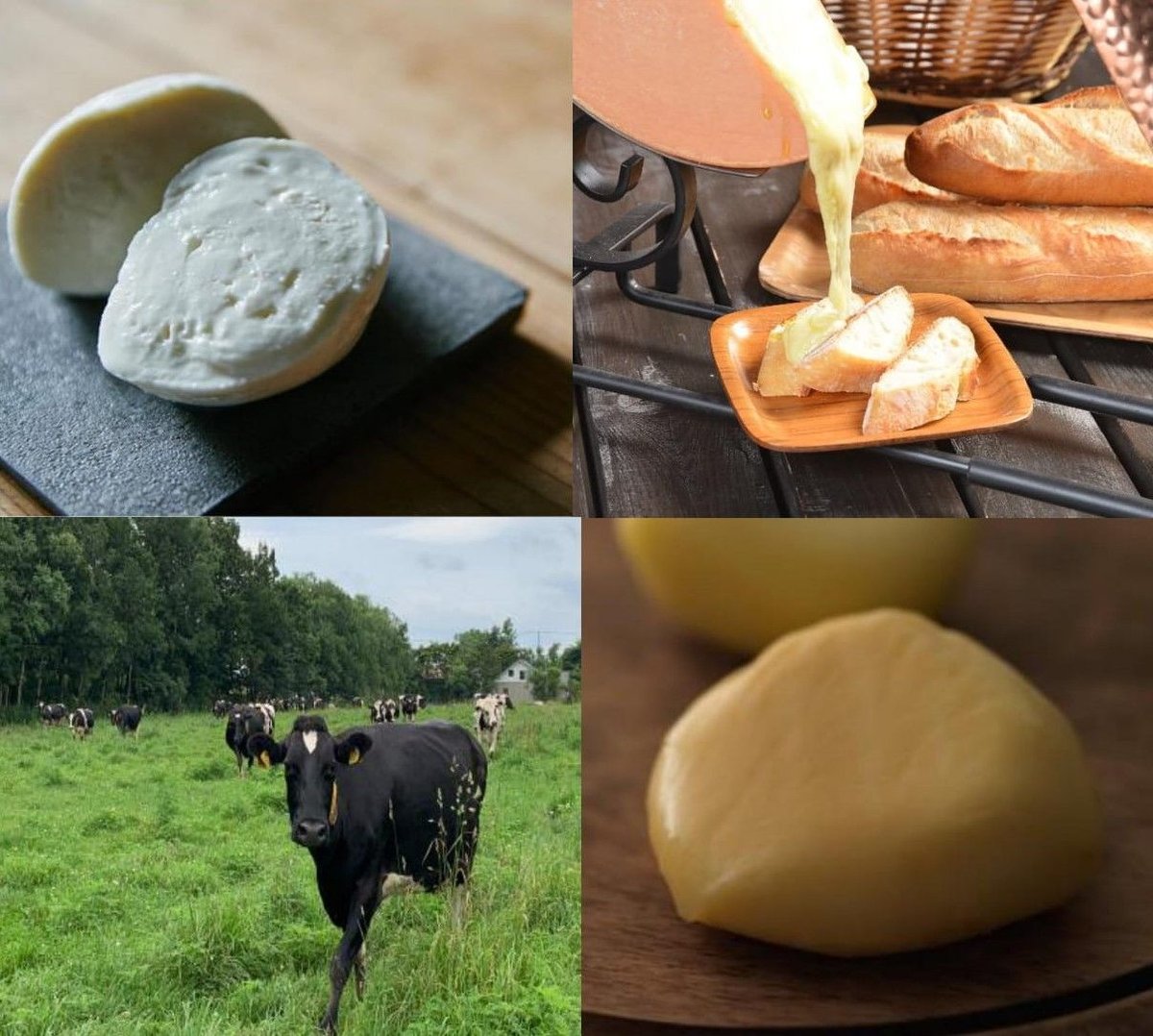 チーバーチーズ7月号～初夏を感じるチーズ達～ | Cheeber