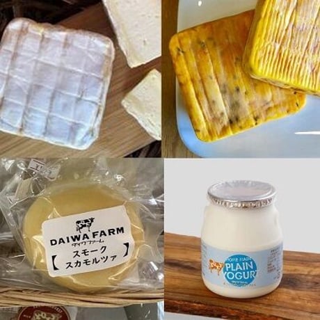 2023年7月チーバーチーズ