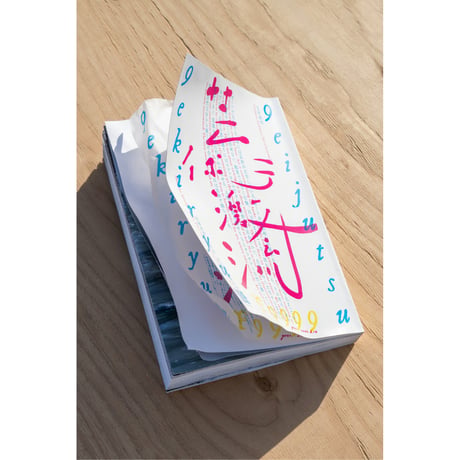 芸術激流 二〇二二＋二〇二四 記録集