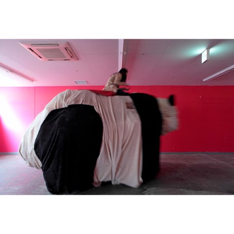 阪中隆文「Giant panda car」／ Takafumi Sakanaka  " Giant panda car "