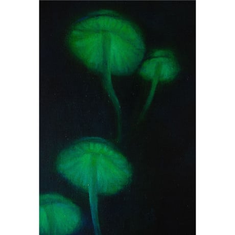 藤田美希子「夜きのこ」 /    Mikiko Fujita  "Night Mushroom"