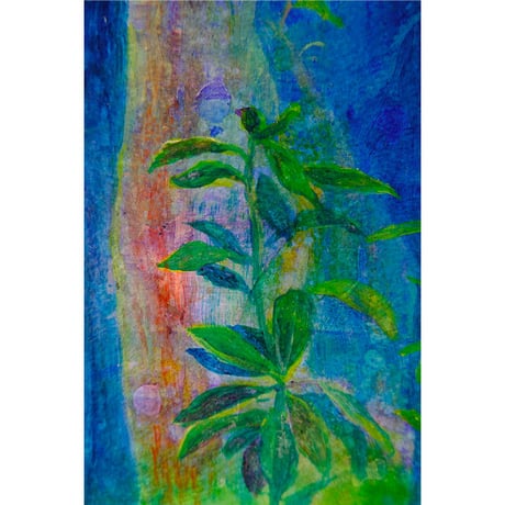 藤田美希子「forest」 /    Mikiko Fujita  "forest"