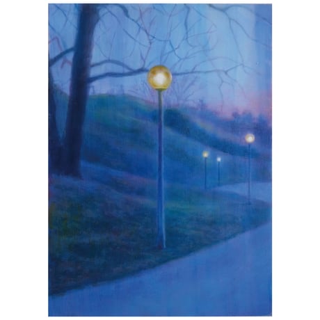evening park