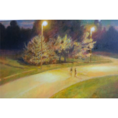 night park