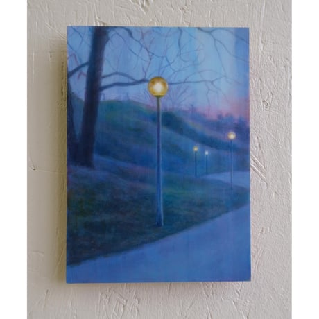 evening park