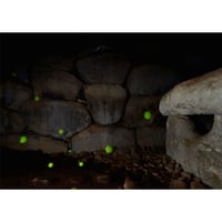 阪中隆文「tennis with tumulus #2」／ Takafumi Sakanaka  " tennis with tumulus #2 "