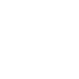 HONEBONE STORE