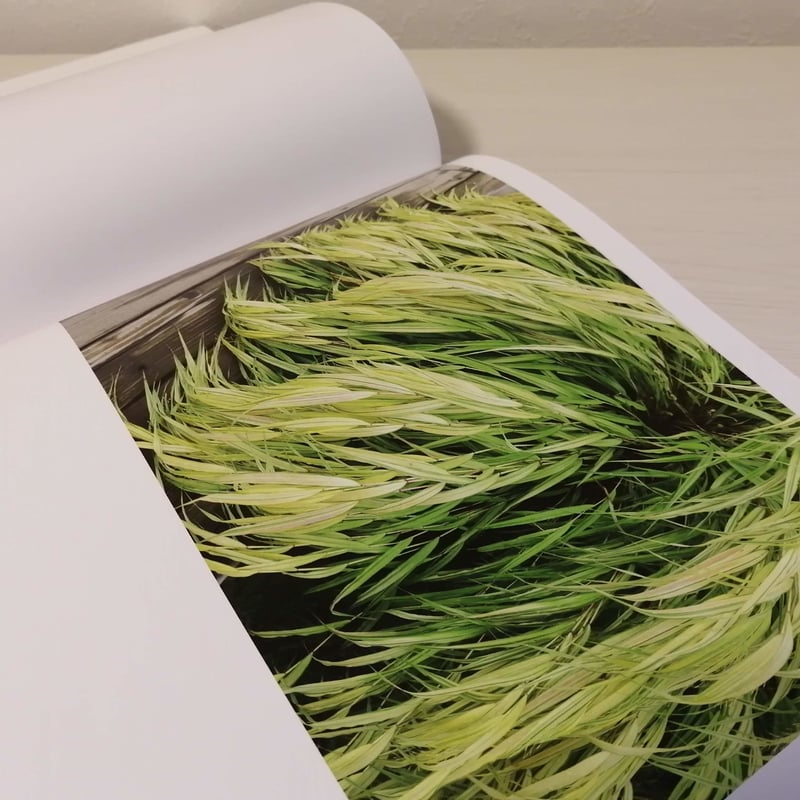 写真集『STILL LIFE』 | FUSIONSTORE