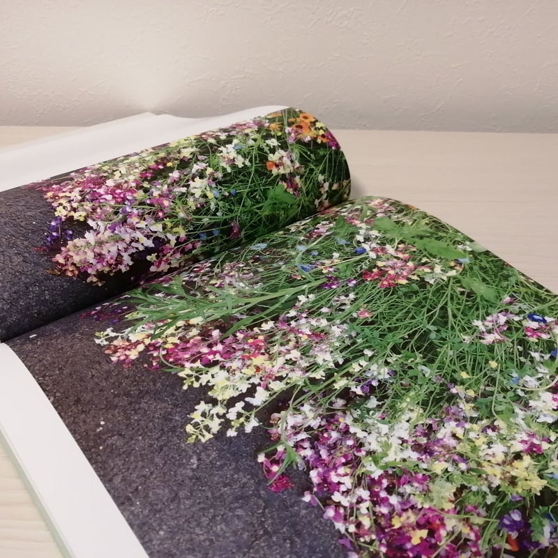 写真集『STILL LIFE』 | FUSIONSTORE