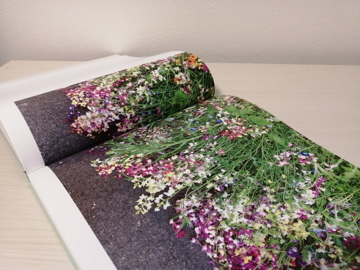 写真集『STILL LIFE』 | FUSIONSTORE