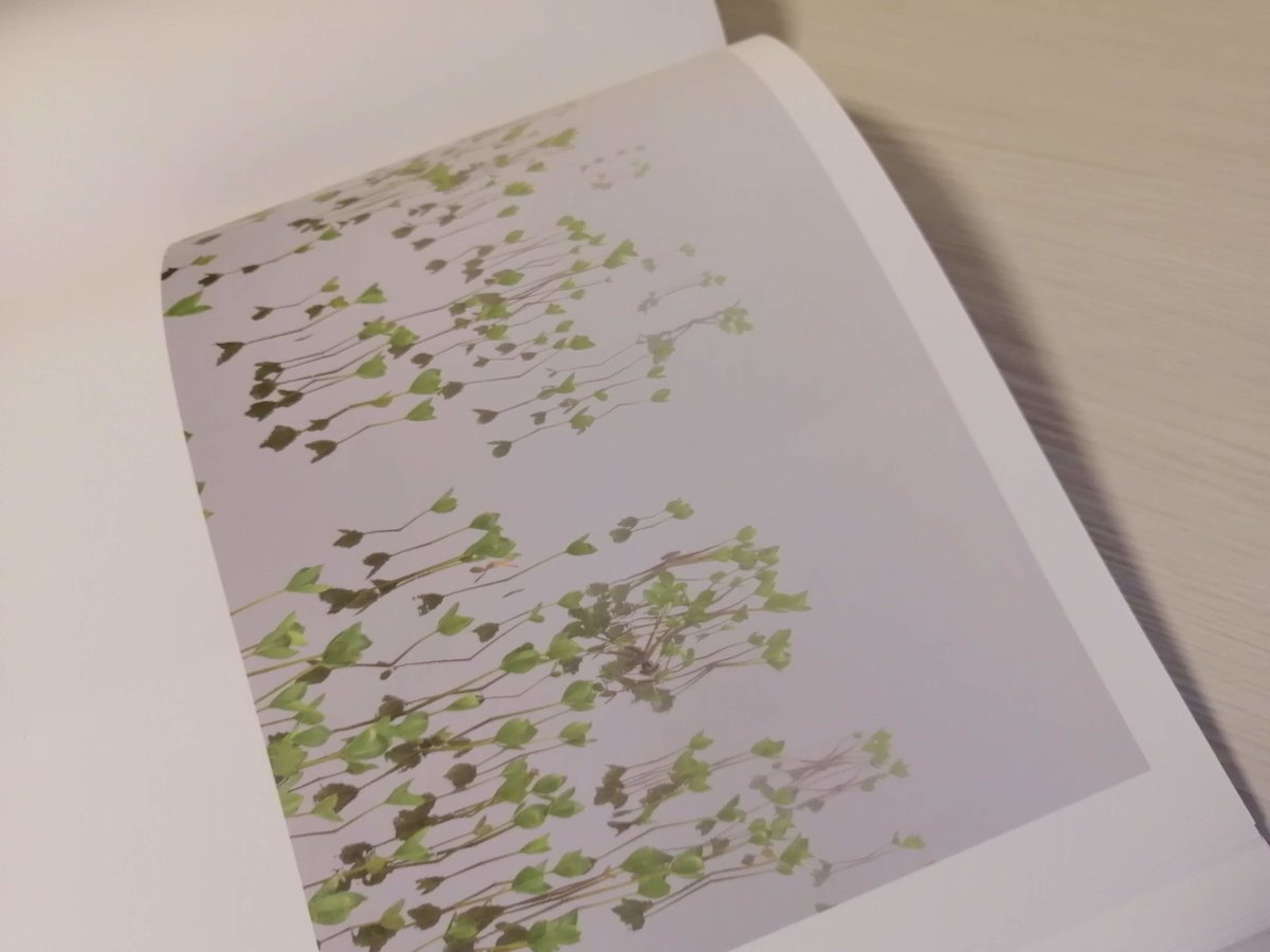 写真集『STILL LIFE』 | FUSIONSTORE