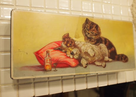 tin缶　（cat&dog)