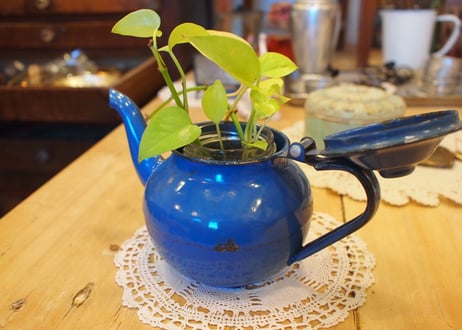 enamel pot（ホーロー製）
