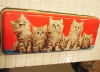 tin缶　（cats)