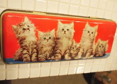 tin缶　（cats)