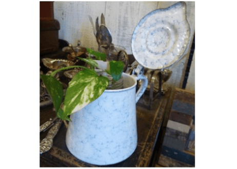 milk jug (フランス製）