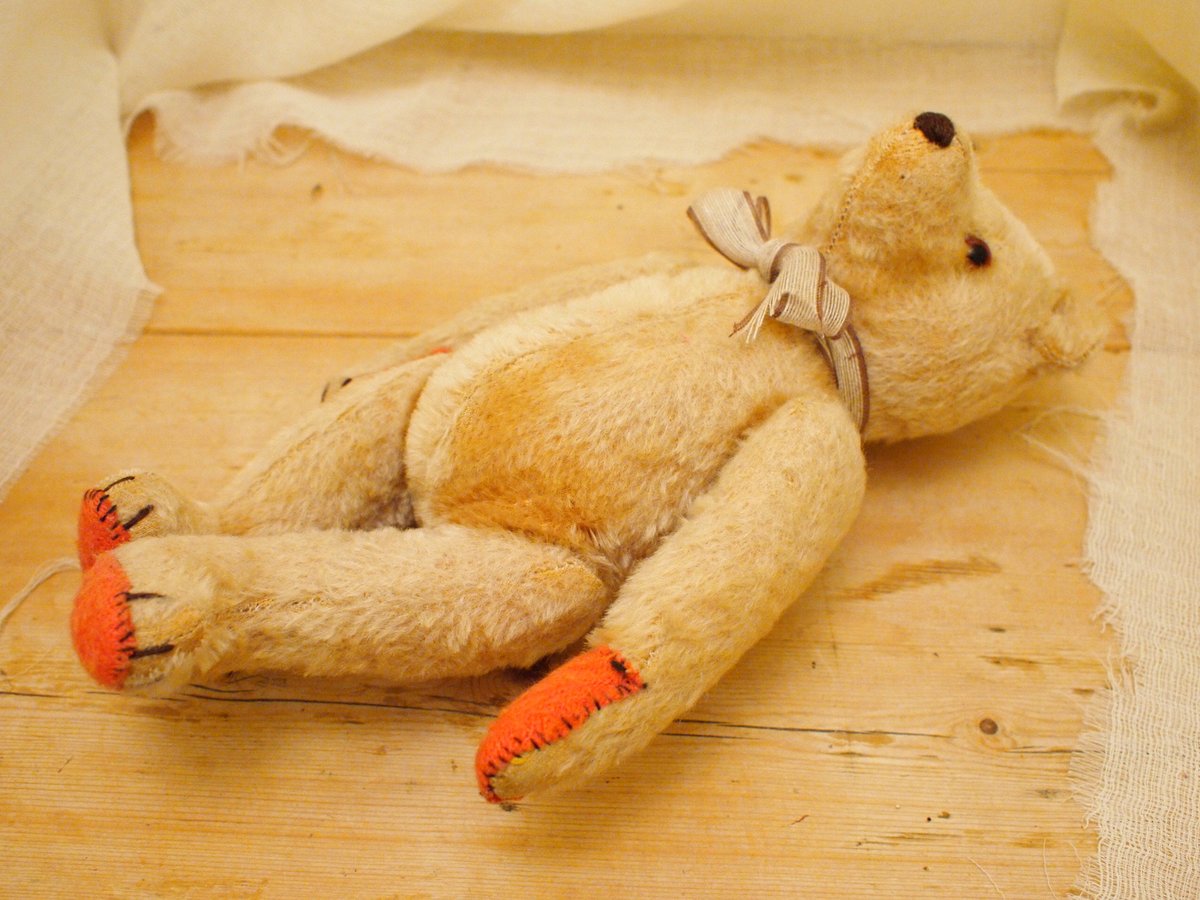 Teddy bear（イギリスアンティーク） | Antique cise